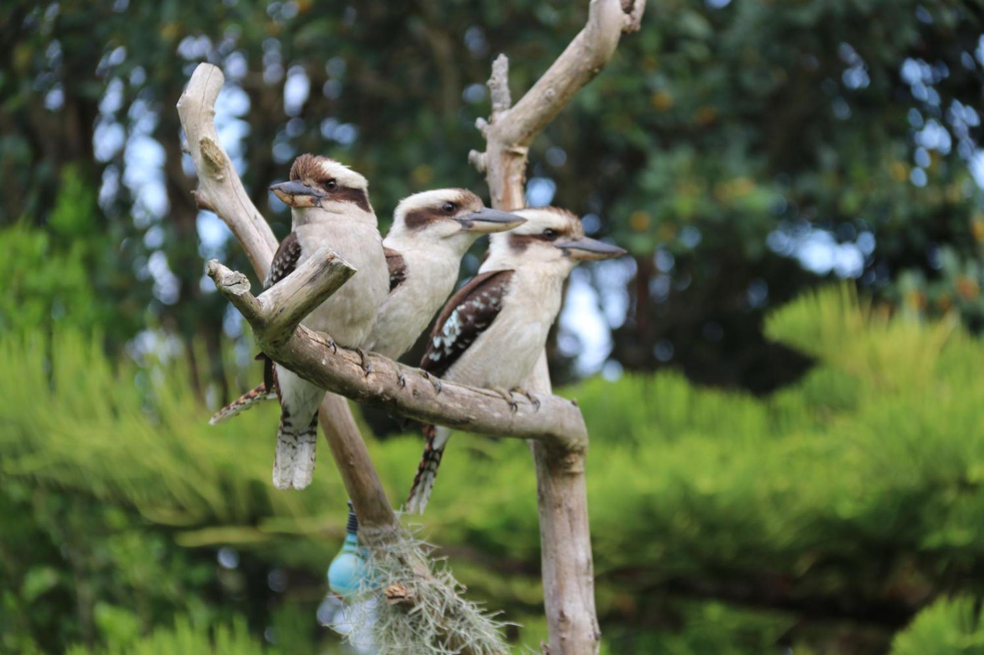 Salamander Bay Bed And Breakfast Exterior foto